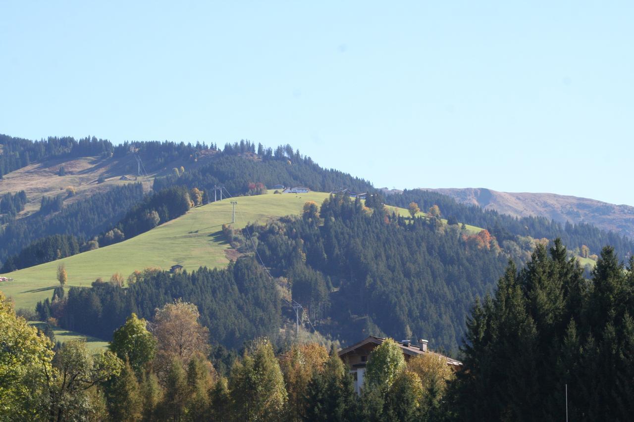 Landhaus Eder Daire Kirchberg in Tirol Dış mekan fotoğraf